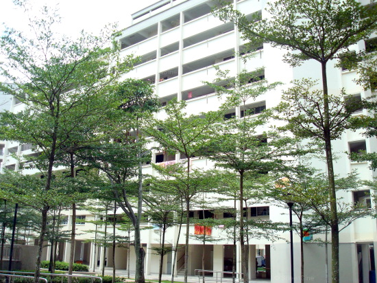 Yishun Ring Road thumbnail photo
